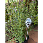 Load image into Gallery viewer, Soil 3-in-1 Meter
