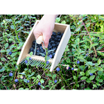 Load image into Gallery viewer, Wooden Berry Picker
