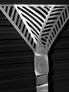 Grounded Art - Aluminium Nikau Palm Wall Art