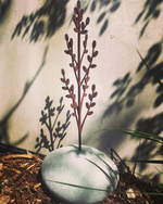 Load image into Gallery viewer, Grounded Art - Toitiiti
