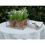 Load image into Gallery viewer, Aged Terracotta 4 Pot Wire Basket
