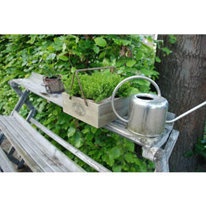 Watering Can - Stainless Steel