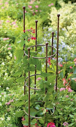 Load image into Gallery viewer, Tiny Anvil Corten Column Plant Support
